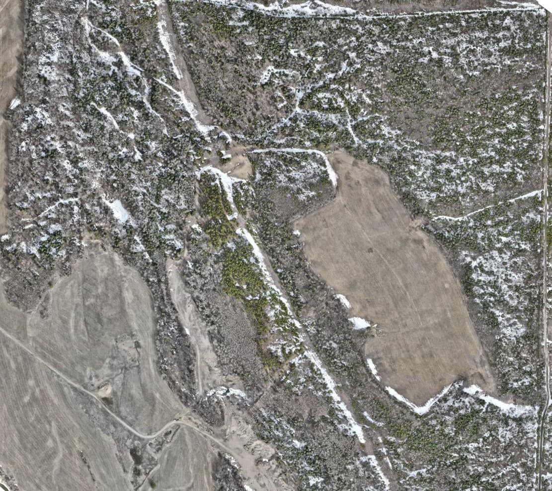 Aerial orthophoto showing landscape with snow patches, forest areas, and cleared land parcels